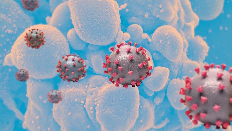 New COVID variant with immune escape potential confirmed in US, 22 other countries