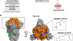 Intranasal Multiepitope PD-L1-siRNA-Based Nanovaccine: The Next-Gen COVID-19 Immunotherapy