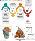 Intranasal Multiepitope PD-L1-siRNA-Based Nanovaccine: The Next-Gen COVID-19 Immunotherapy