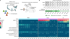 Virus reactivation in acute and long COVID-19