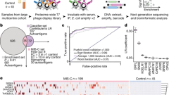 Molecular mimicry in multisystem inflammatory syndrome in children