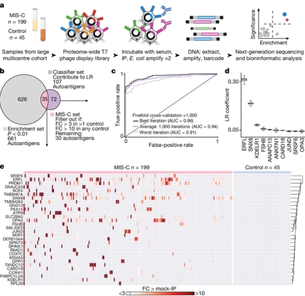 Molecular mimicry in multisystem inflammatory syndrome in children