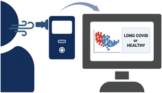 Snapshot of long COVID in young adults: fast screening using electronic noses