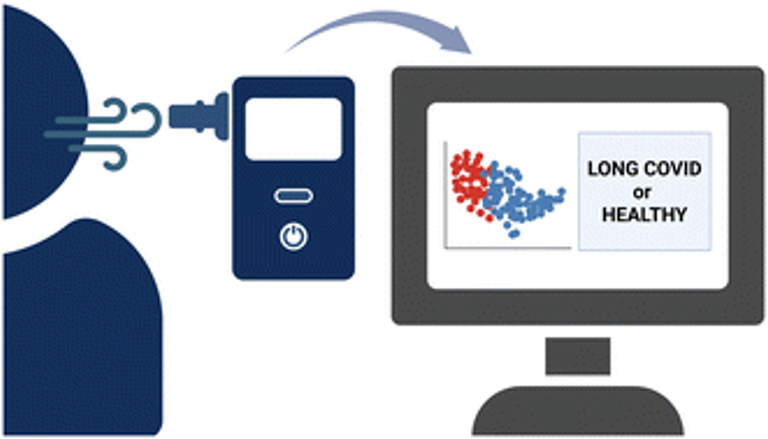 Snapshot of long COVID in young adults: fast screening using electronic noses