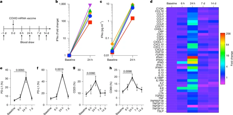 SARS-CoV-2 mRNA vaccines sensitize tumours to immune checkpoint blockade