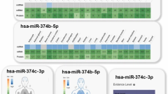 Beyond COVID-19 in people with HIV: Specific miRNA expression profile persist after SARS-CoV-2 clearance