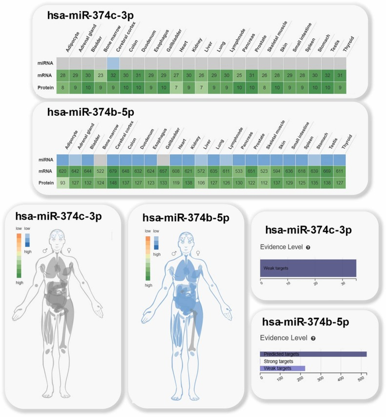 Beyond COVID-19 in people with HIV: Specific miRNA expression profile persist after SARS-CoV-2 clearance