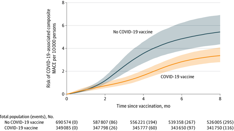 2024-2025 COVID-19 Vaccine and Major Adverse Cardiovascular Events Among US Veterans
