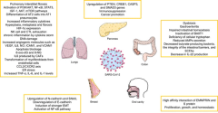 Possible cancer-causing capacity of COVID-19: Is SARS-CoV-2 an oncogenic agent?