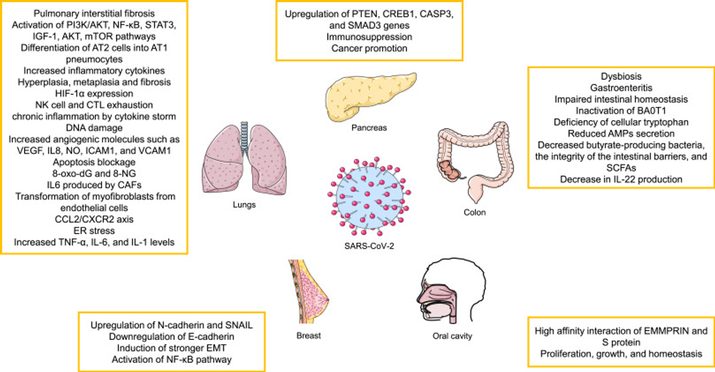 Possible cancer-causing capacity of COVID-19: Is SARS-CoV-2 an oncogenic agent?