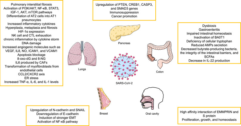 Possible cancer-causing capacity of COVID-19: Is SARS-CoV-2 an oncogenic agent?