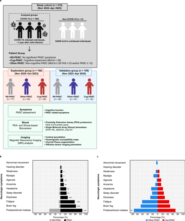 Distinct brain alterations and neurodegenerative processes in cognitive impairment associated with post-acute sequelae of COVID-19