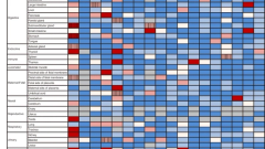 Presence of SARS-CoV-2 in fetal organs via intraamniotic infection