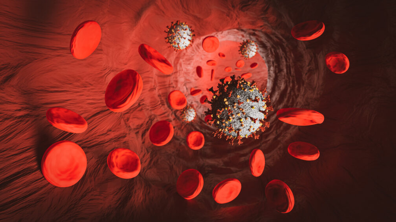 Una proteína del sistema inmunitario se alza como posible biomarcador de COVID persistente