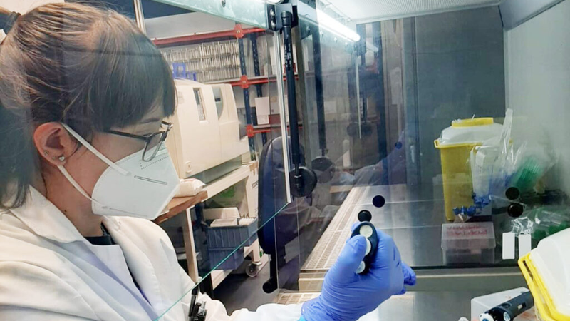 COVID-19: descubren cómo el SARS-COV-2 se reconfigura genéticamente para adaptarse al ser humano