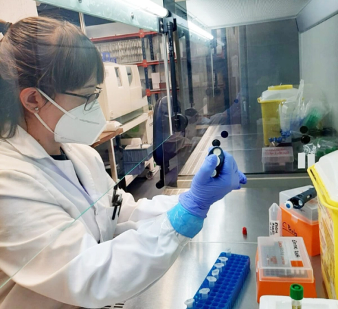 COVID-19: descubren cómo el SARS-COV-2 se reconfigura genéticamente para adaptarse al ser humano