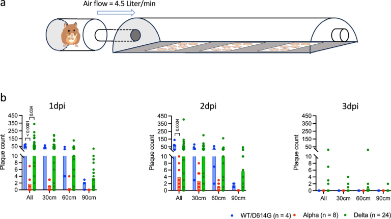 SARS-CoV-2 variants retain high airborne transmissibility by different strategies