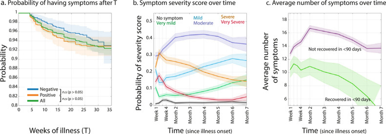Characterizing long COVID in an international cohort: 7 months of symptoms and their impact