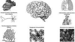 Síndrome COVID prolongado asociado a «niebla cerebral»
