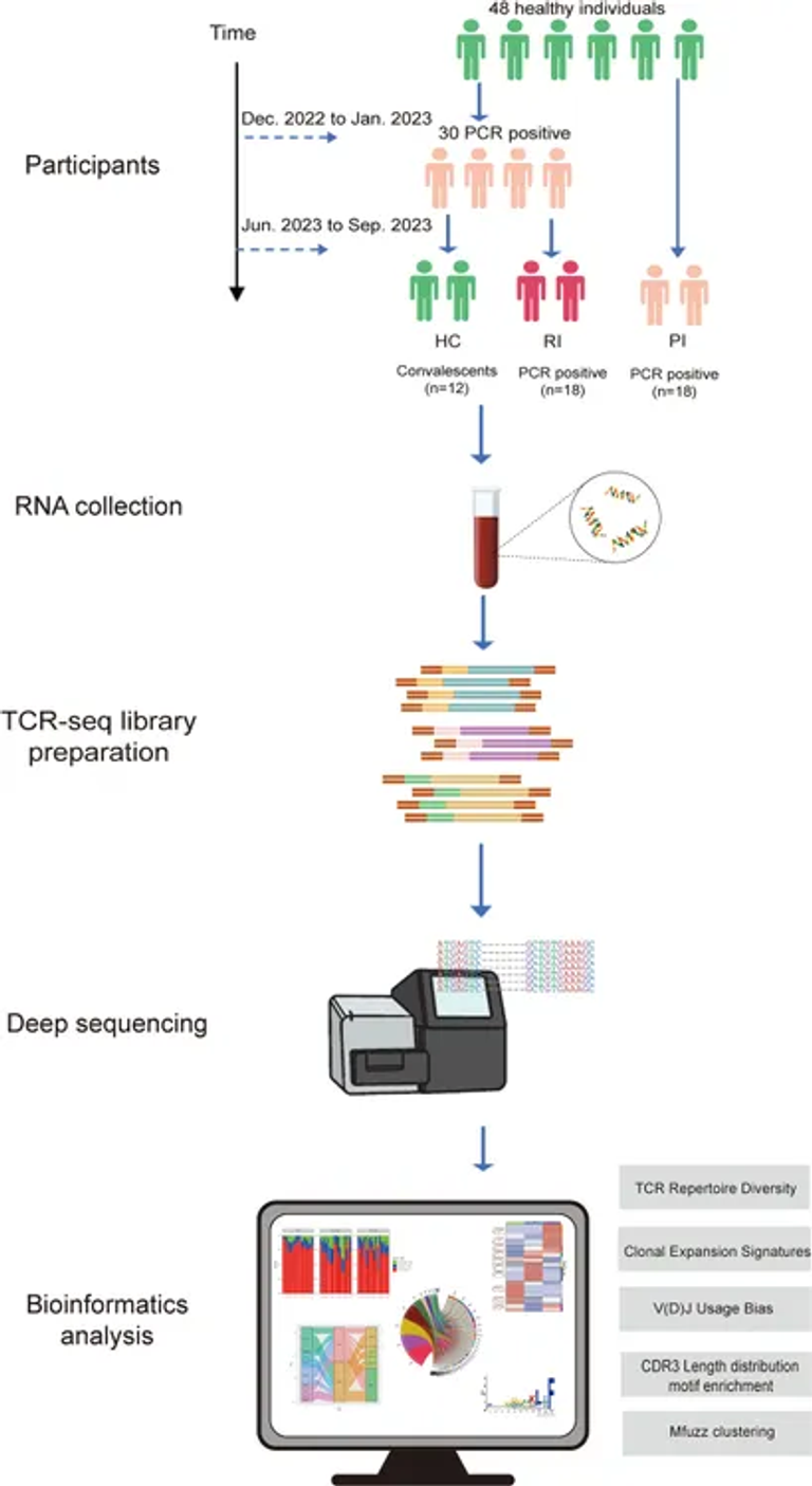 Distinct characteristics of T cell receptor repertoire associated with the SARS-CoV-2 reinfection