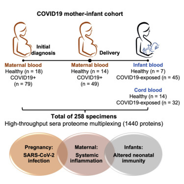 The systemic inflammatory landscape of COVID-19 in pregnancy: Extensive serum proteomic profiling of mother-infant dyads with in utero SARS-CoV-2
