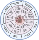 Oncogenic potential of SARS-CoV-2—targeting hallmarks of cancer pathways