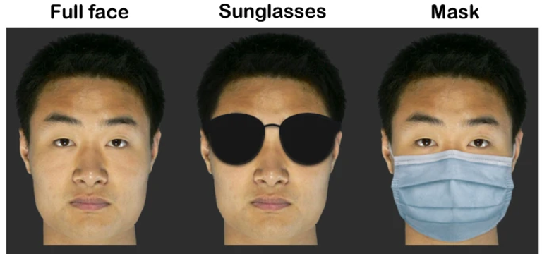 Face masks are less effective than sunglasses in masking face identity
