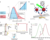 Quantum-enhanced nanodiamond rapid test advances early SARS-CoV-2 antigen detection in clinical diagnostics