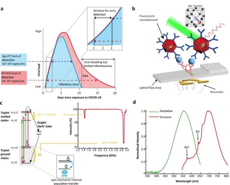 Quantum-enhanced nanodiamond rapid test advances early SARS-CoV-2 antigen detection in clinical diagnostics