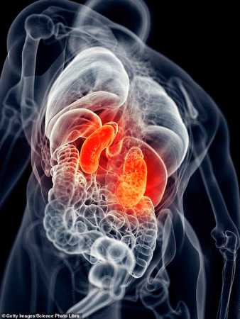 Catching Covid significantly raises the risk of developing kidney disease, researchers find