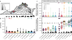 Widespread exposure to SARS-CoV-2 in wildlife communities