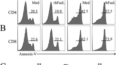 T cell apoptosis characterizes severe Covid-19 disease