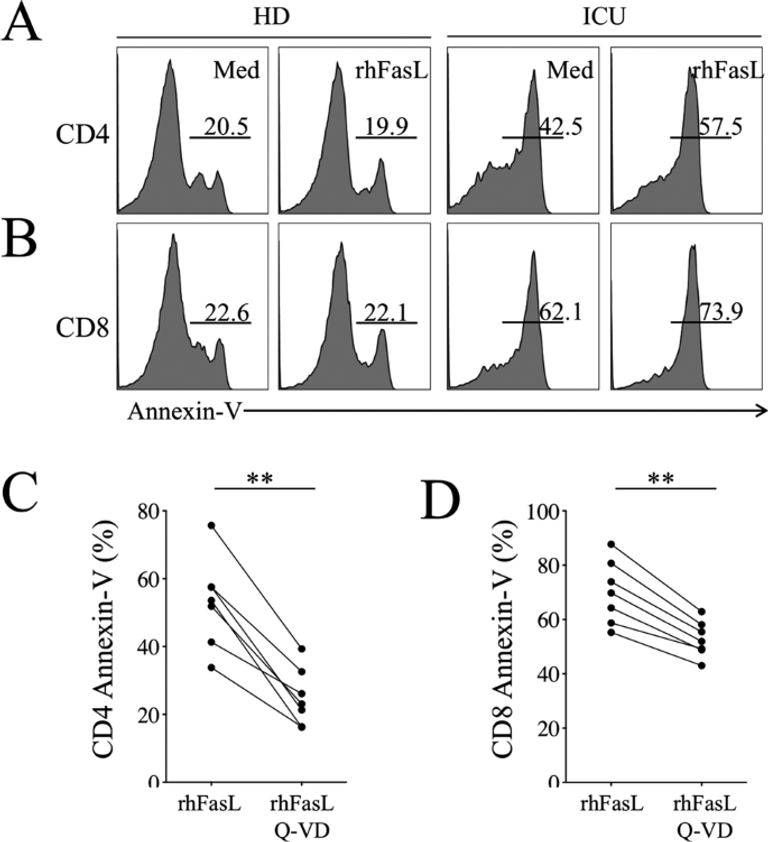 T cell apoptosis characterizes severe Covid-19 disease