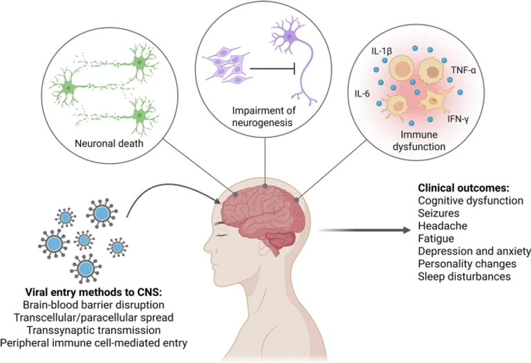 Sequelae of viral CNS infections including outcomes, mechanisms, and knowledge gaps