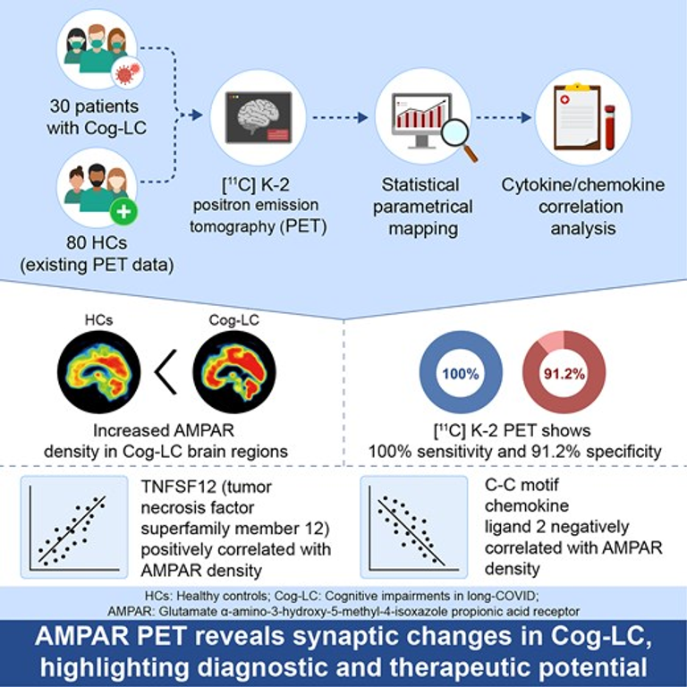 Systemic increase of AMPA receptors associated with cognitive impairment of long COVID