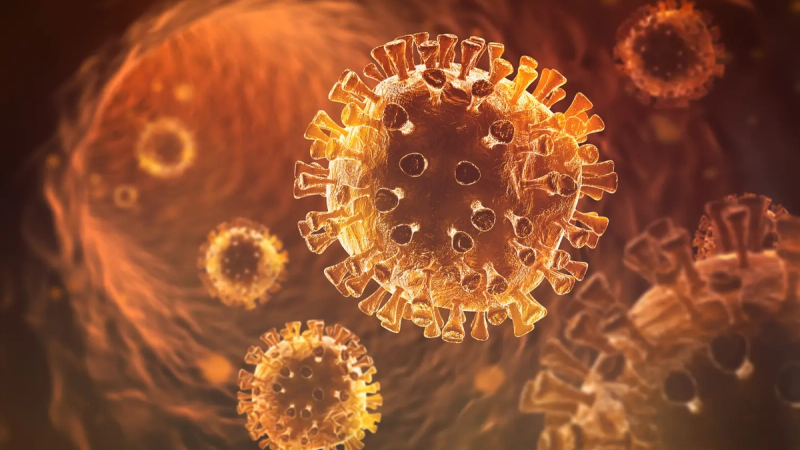 Covid-19 : le variant "Frankenstein" à l'origine d'une "nouvelle vague épidémique" en France ?