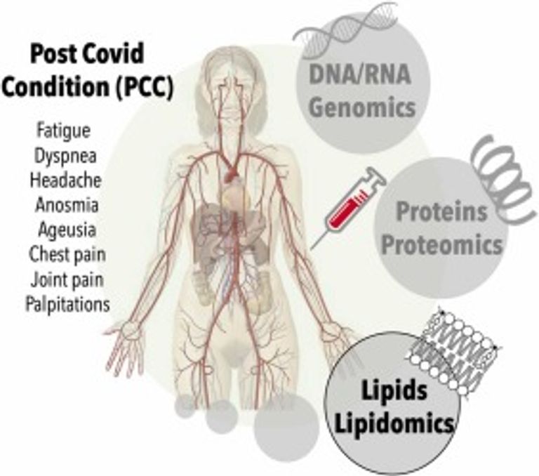 Lipidomics signature in post-COVID patient sera and its influence on the prolonged inflammatory response