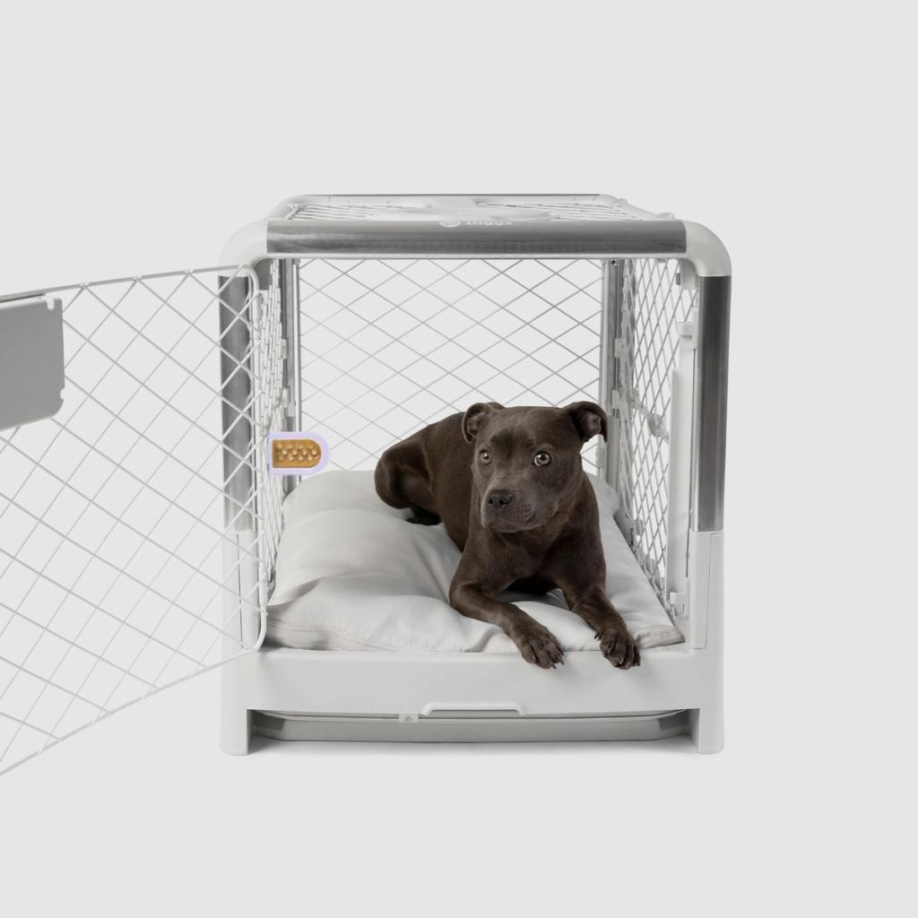 Puppy Crate & Bed Set Diggs