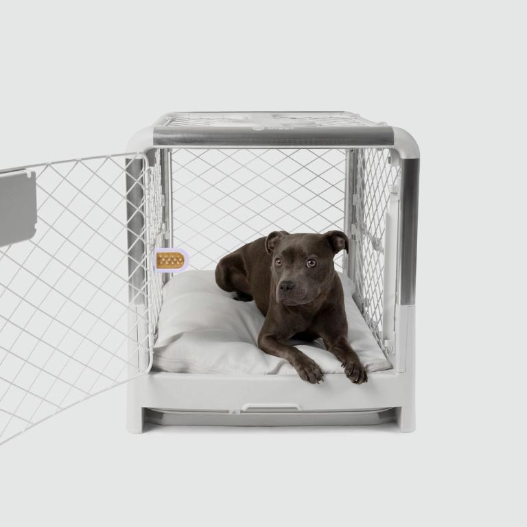 Puppy Crate & Bed Set Diggs