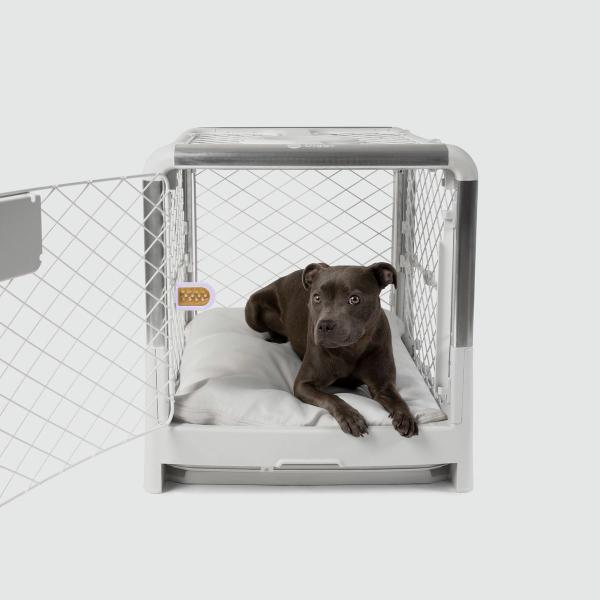 Puppy Crate & Bed Set