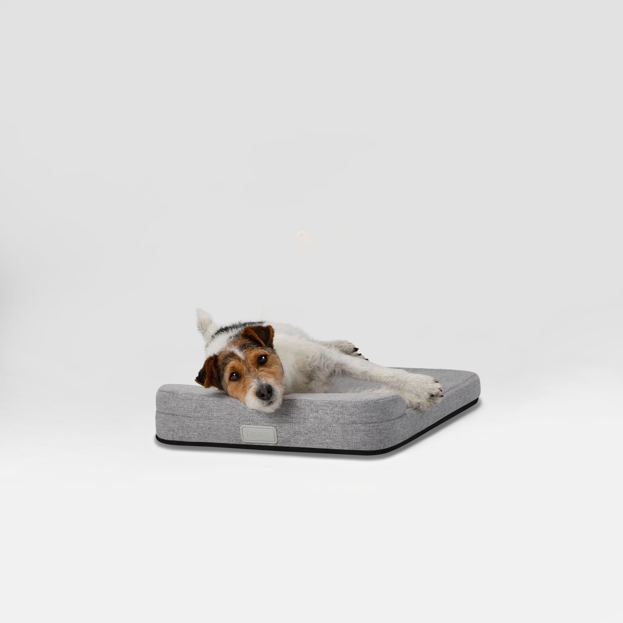 Diagonal view of Bolstr Dog Bed with terrier dog laying and resting head on bolstered headrest,