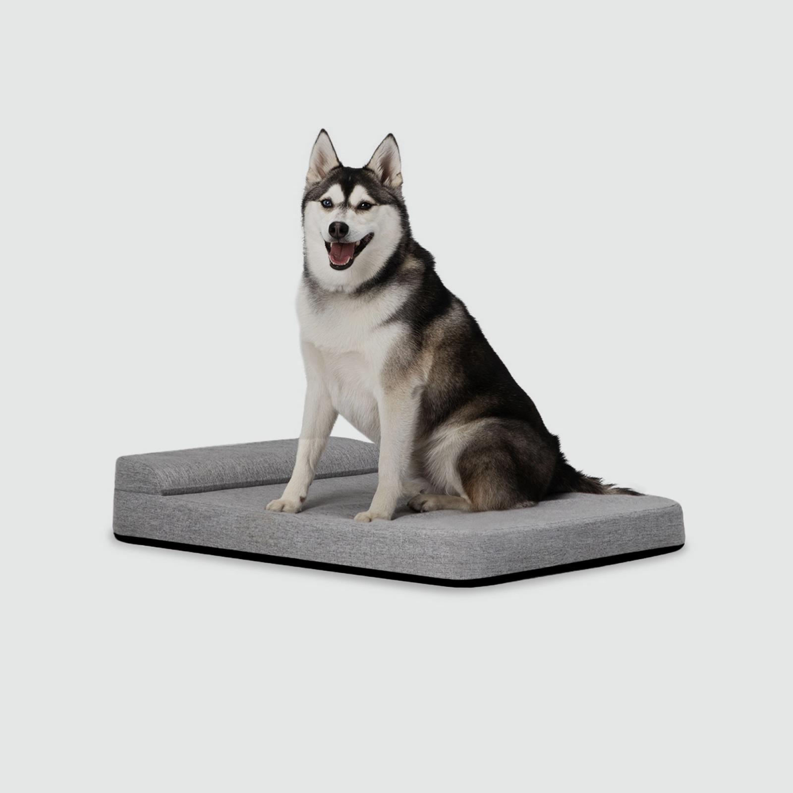 evolv-dog-crate-diggs