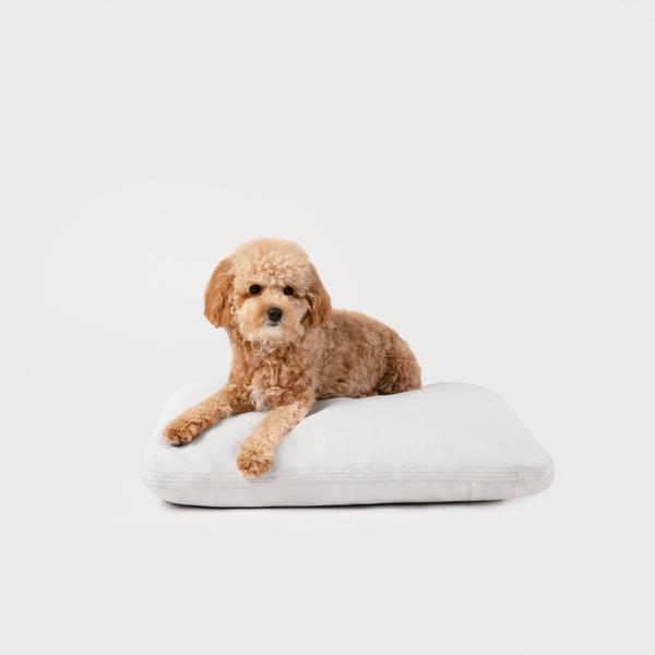 Pillo Dog Bed