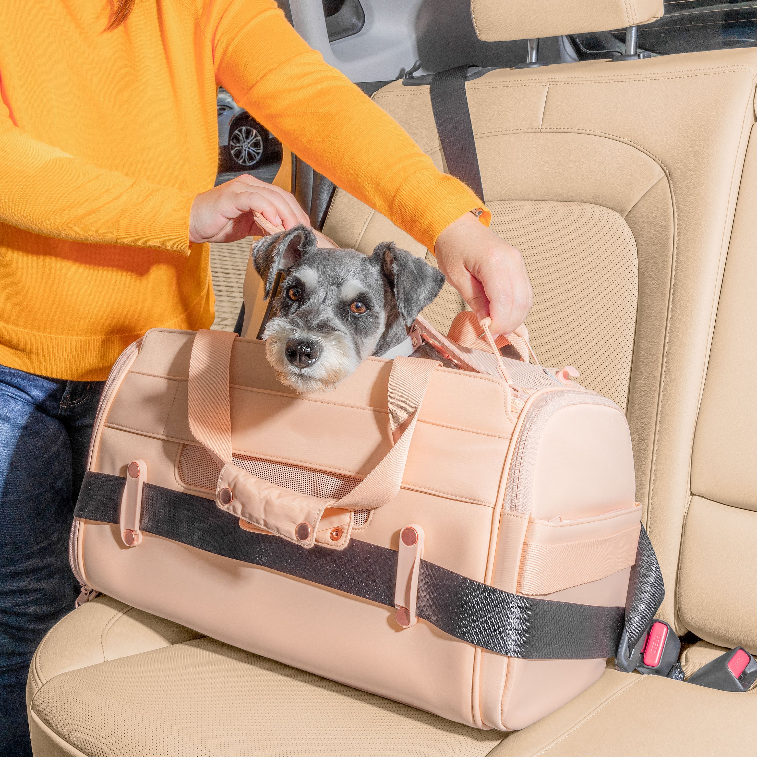 A dog inside a Passenger Travel Carrier in Blush, sitting in the passenger side of the car tucked in a seatbelt.
