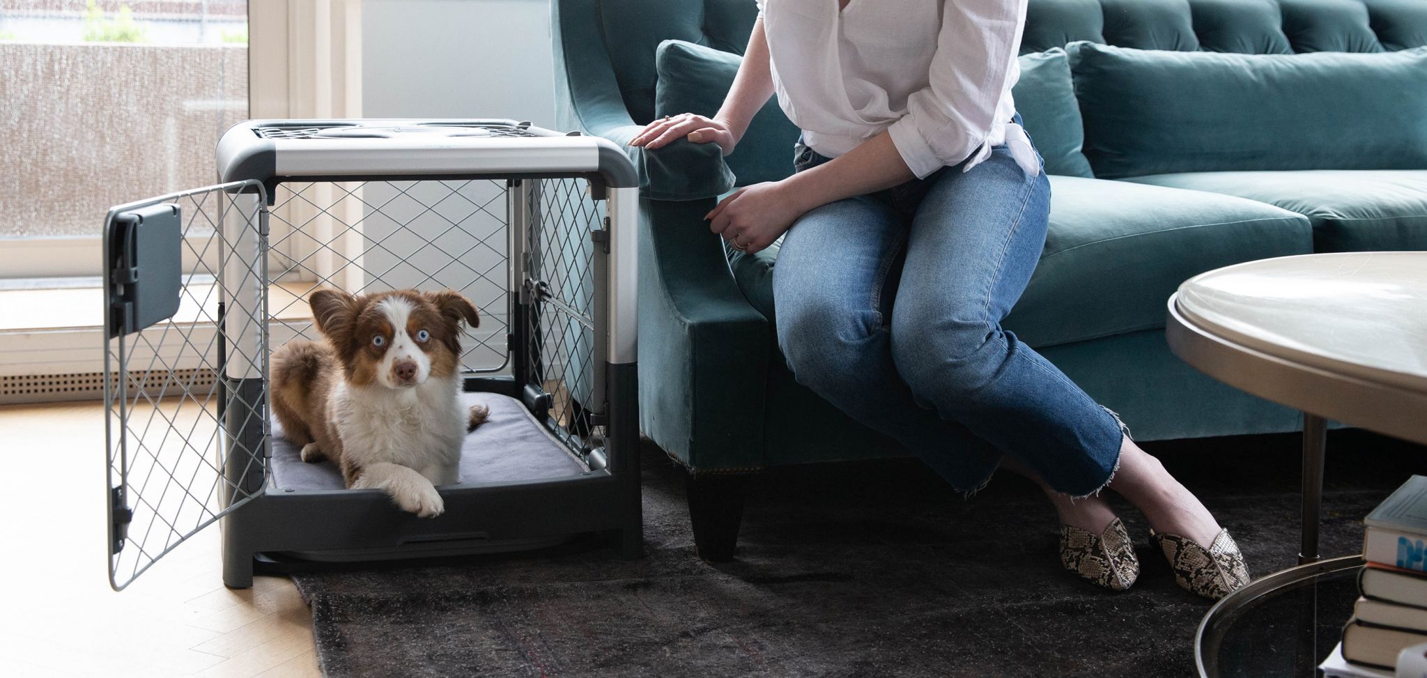 5 tips to get started with crate training Diggs