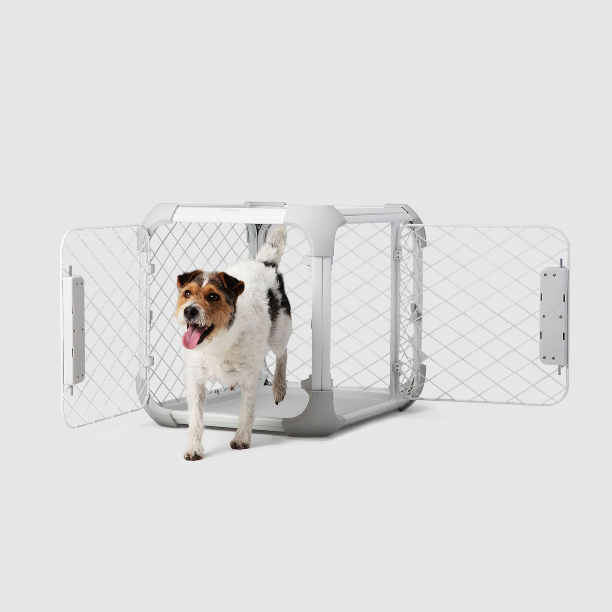 A dog standing in an open crate