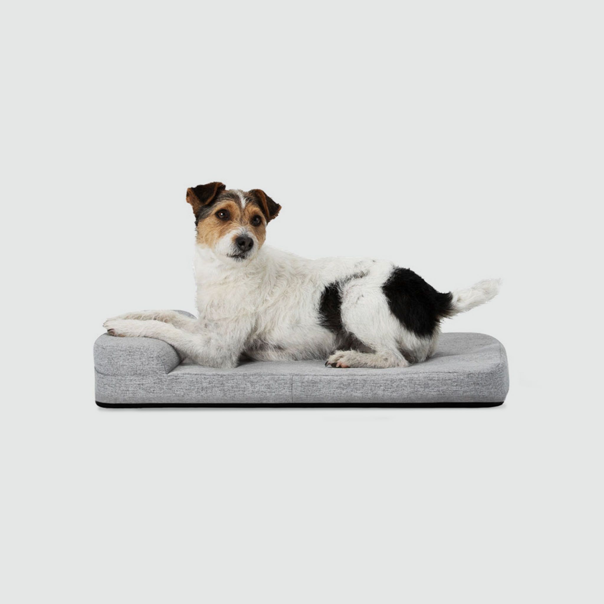 A dog laying on top of a dog bed