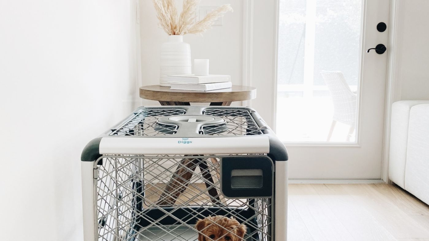 Top 5 Kennel Accessories to Make Your Dog's Kennel Feel More like