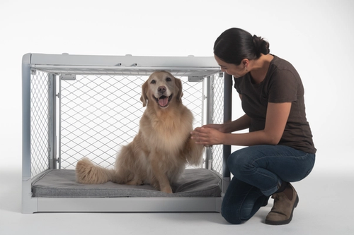 The Ultimate Guide to Crate Training - Diggs