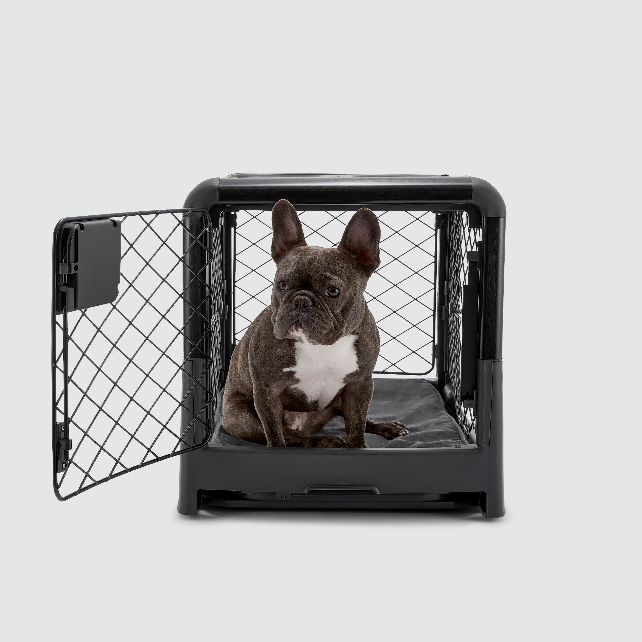 A dog sitting in a dog crate with a white and black dog inside